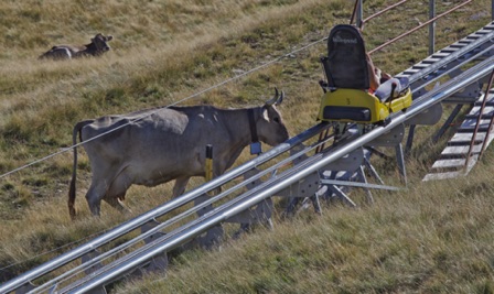 Svizzera - Monte Tamaro Svizzera - Monte Tamaro